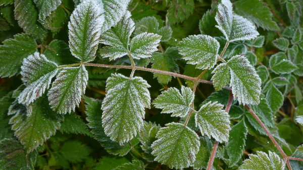 P1040031