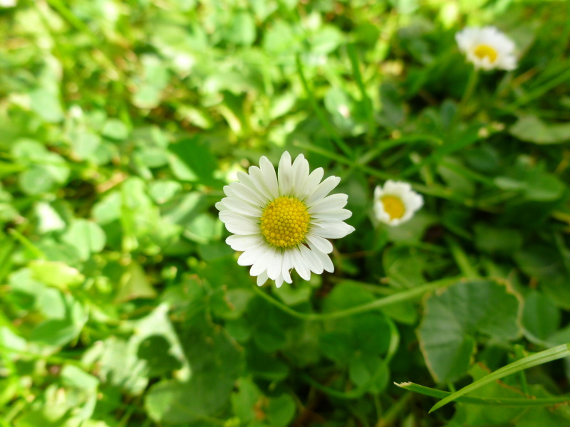 P1020448