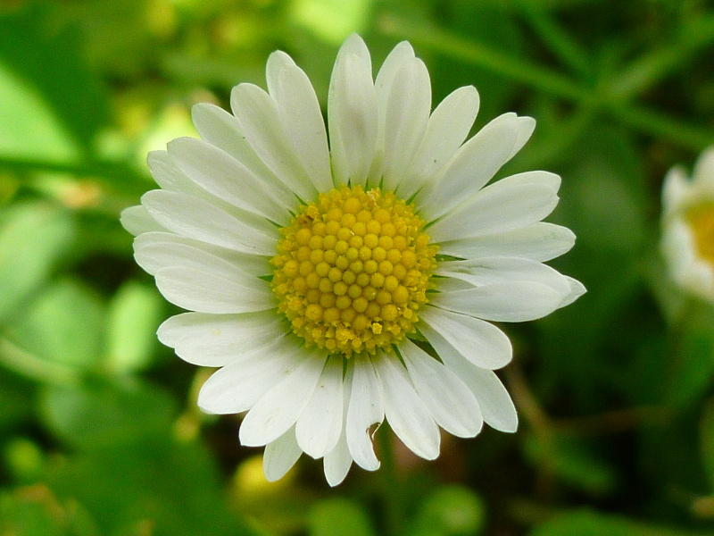 P1020449