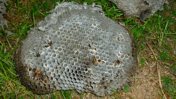 P1030836